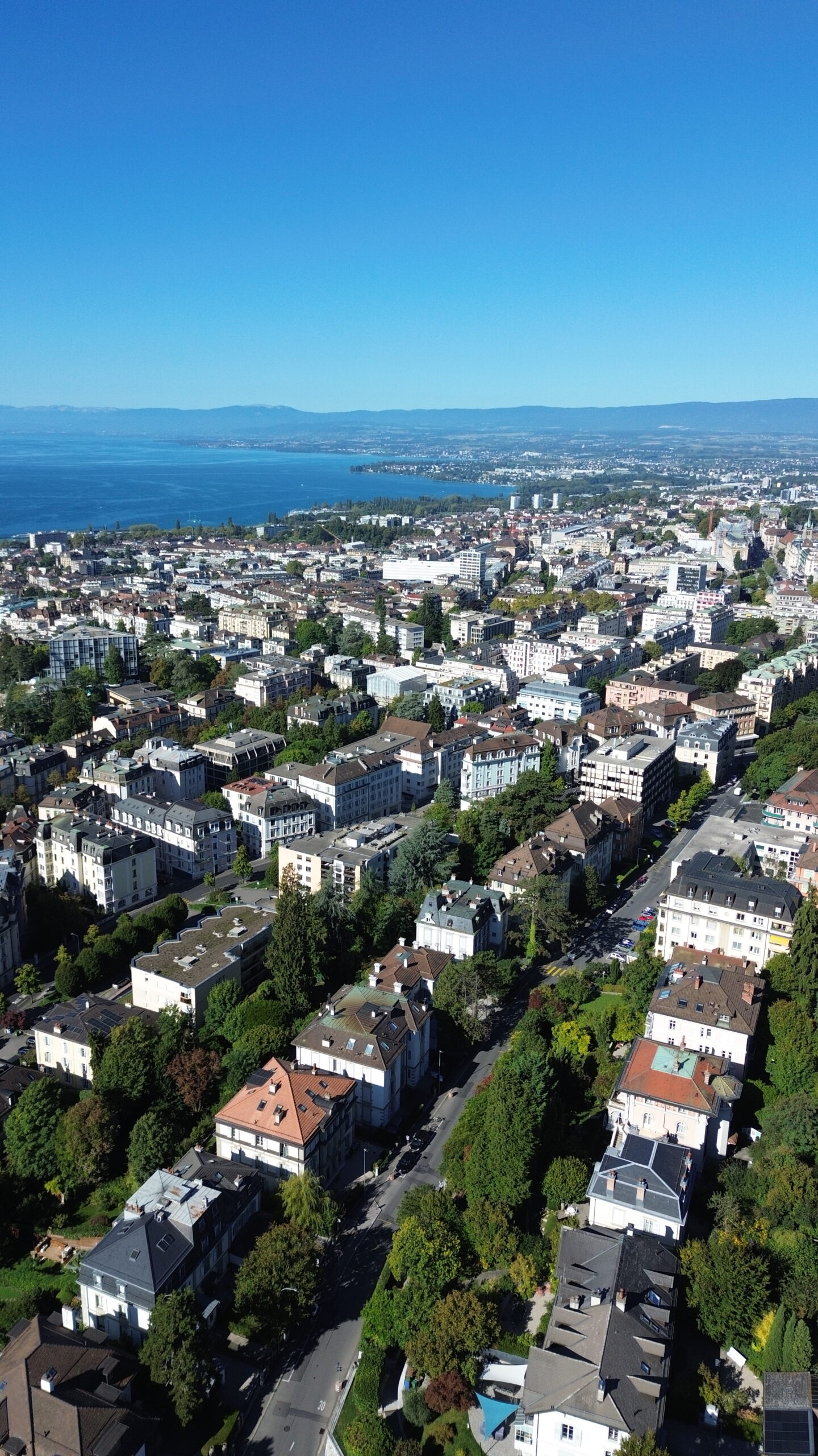 Bannière — Naef Immobilier | agence immobilière Lausanne
