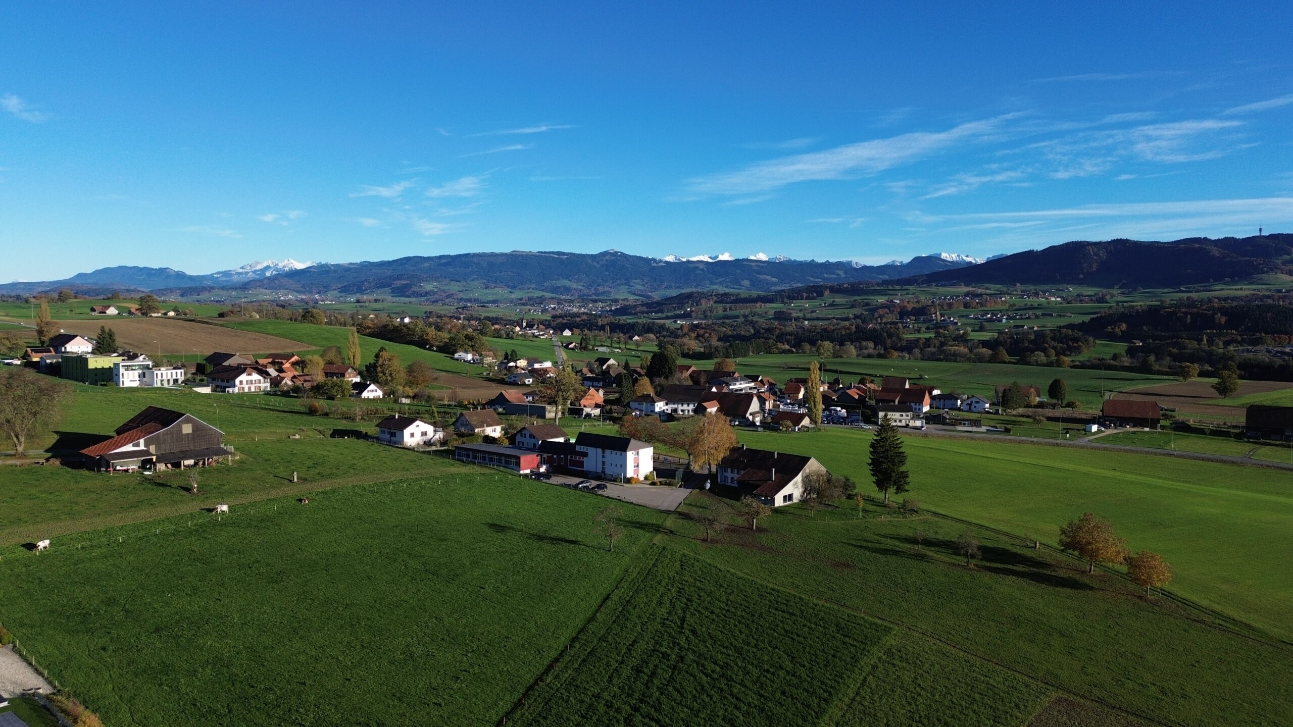 Estimation immobilière à Hauterive (FR) (1725)