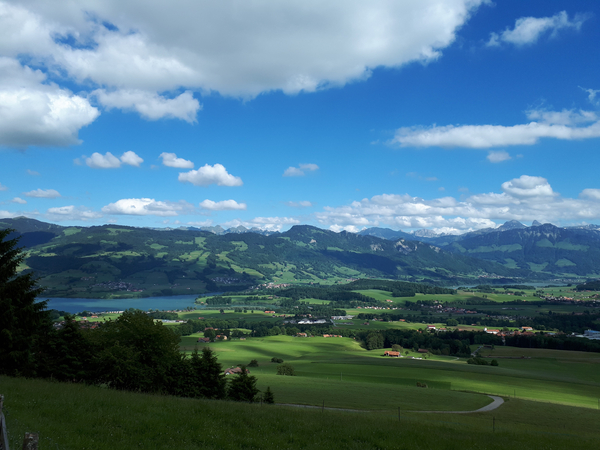 Estimation immobilière à Sorens (1642)